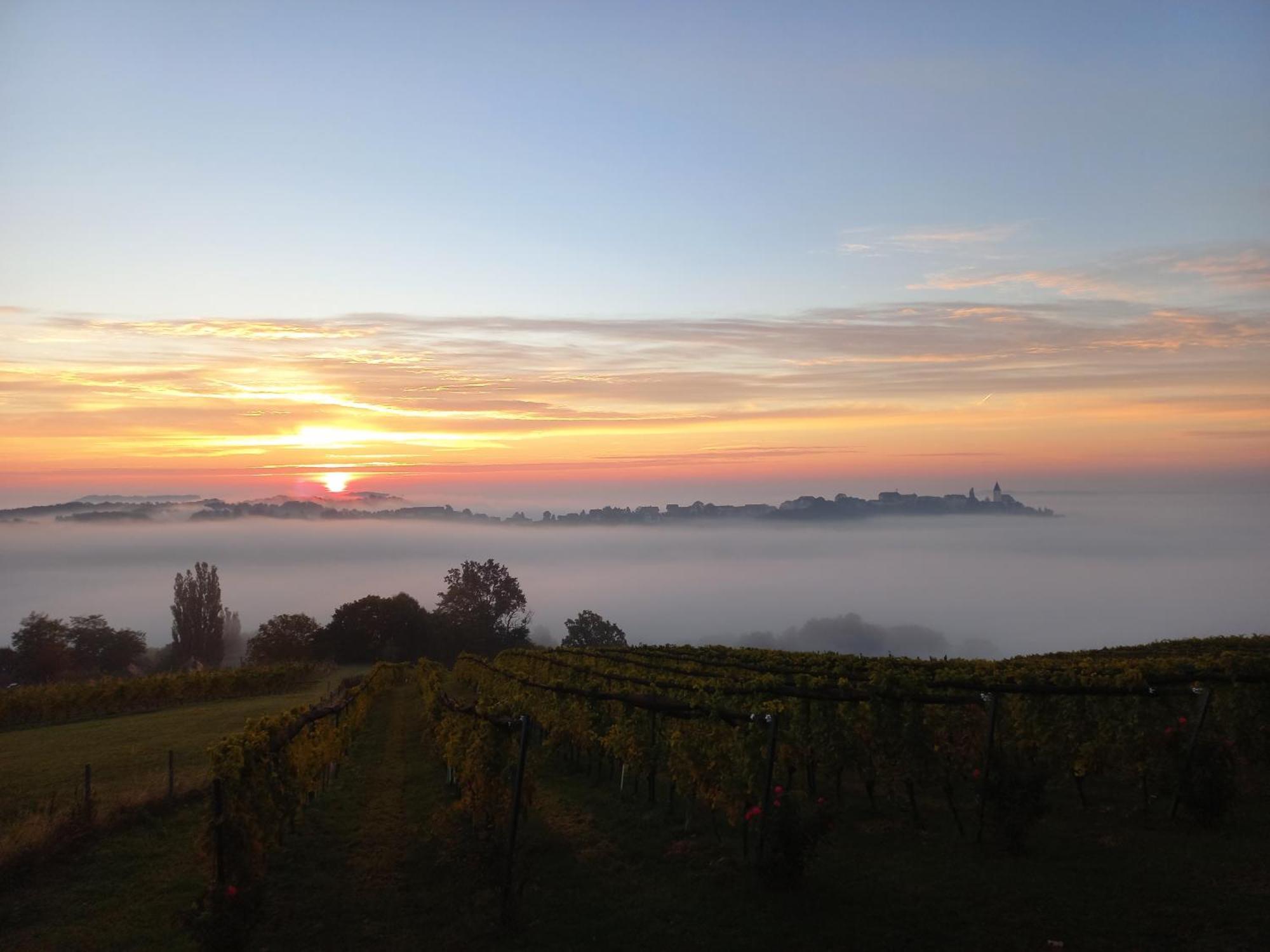 Winzerzimmer Scharl Sankt Anna am Aigen Kültér fotó