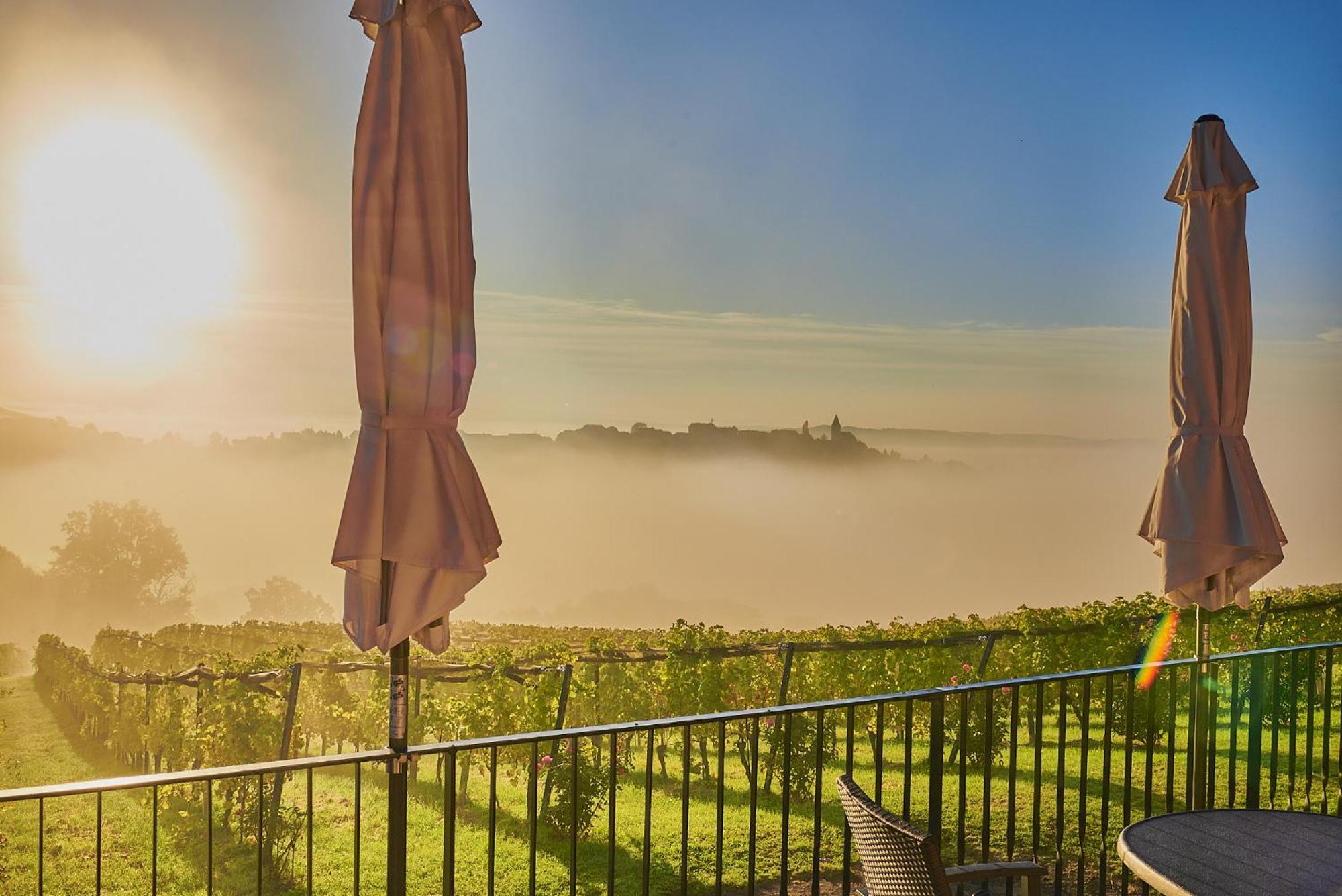 Winzerzimmer Scharl Sankt Anna am Aigen Kültér fotó