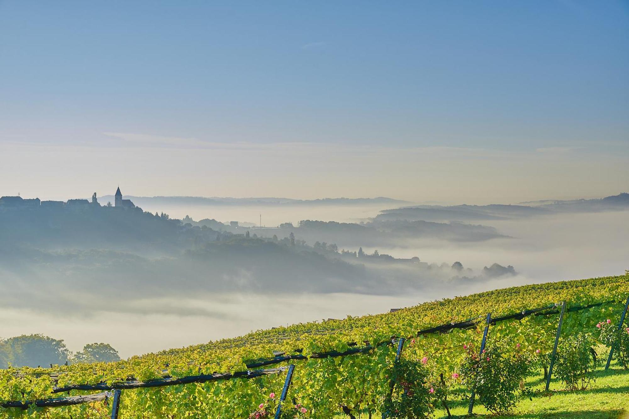 Winzerzimmer Scharl Sankt Anna am Aigen Kültér fotó